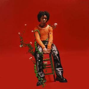 gay帅哥视频网站
