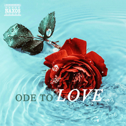 gay帅哥视频网站
